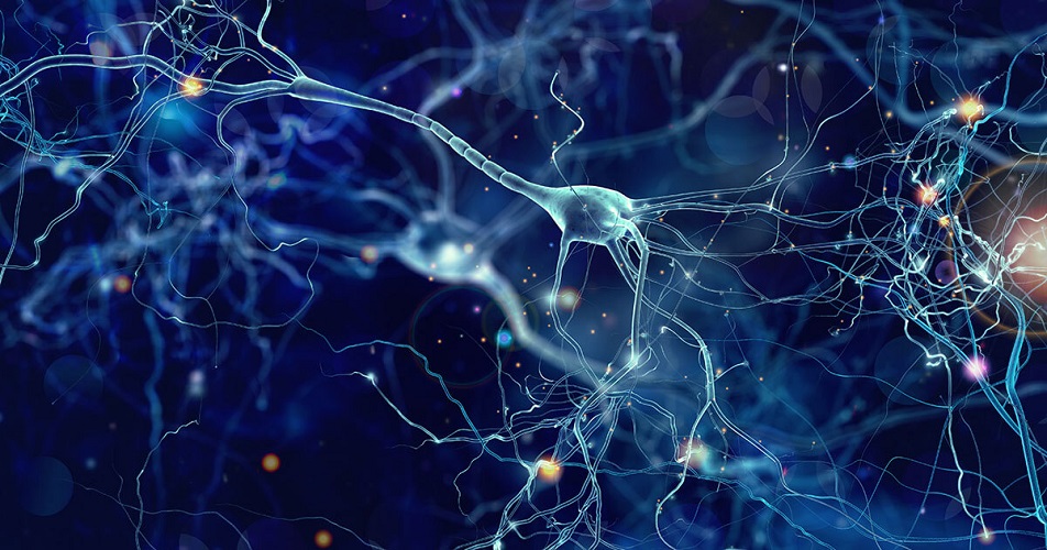 Recordando gracias a las Redes Neuronales